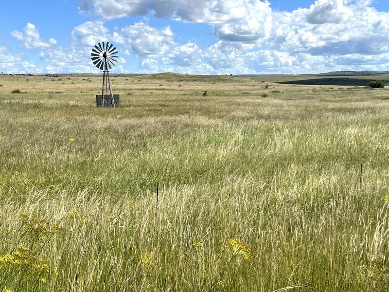 0 Bedroom Property for Sale in Lindley Free State